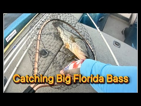 Part 2: Throw back to catching big bass in Florida