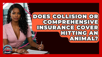 Does Collision Or Comprehensive Insurance Cover Hitting An Animal? - Auto Coverage Explained