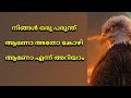 നിങ്ങൾ ഒരു പരുന്ത് ആണോ അതോ കോഴി ആണോ എന്ന് അറിയാം Malayalam Story, stories