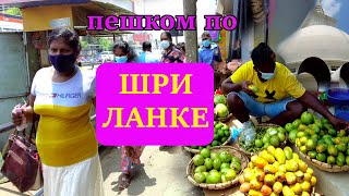 Шри Ланка 2022 куда лучше поехать. Базар, Цены, Еда. Kalutara City. Tempel.