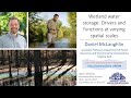 W3 seminar wetland water storage drivers and functions at varying spatial scales