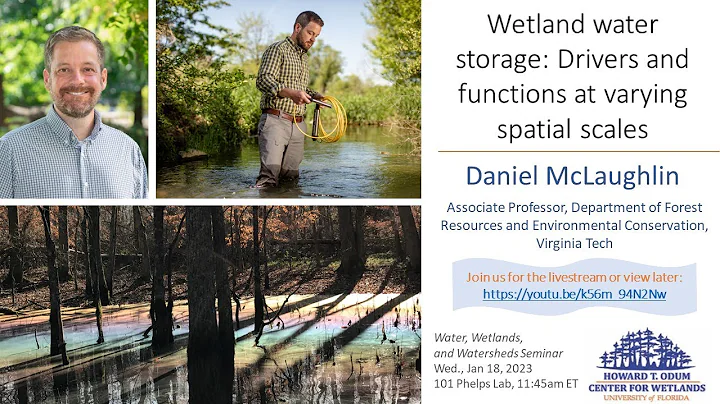 W3 Seminar: Wetland water storage: Drivers and functions at varying spatial scales