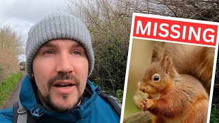 Hunting for Red Squirrels in ENGLAND!