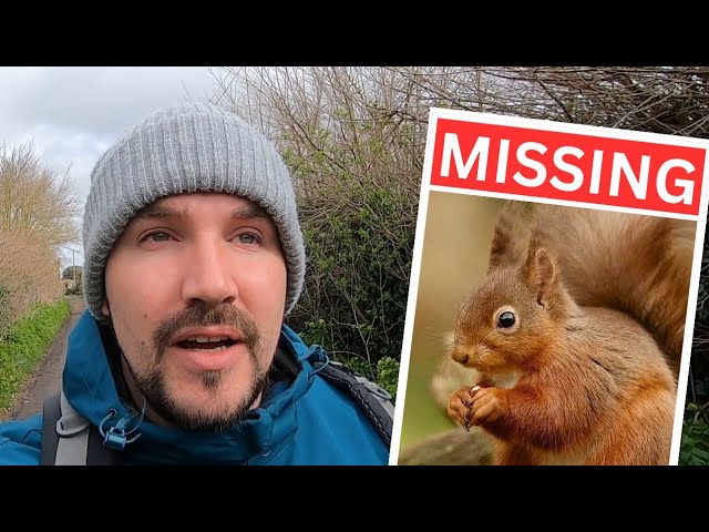 Hunting for Red Squirrels in ENGLAND! class=