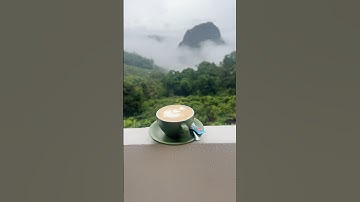 ผาหมีฮิลล์ คาเฟ่  กินกาแฟชมวิวหมอกฟินสุดสุด #ดอยผาหมี #คาเฟ่ผาหมี #ผาหมีฮิลล์