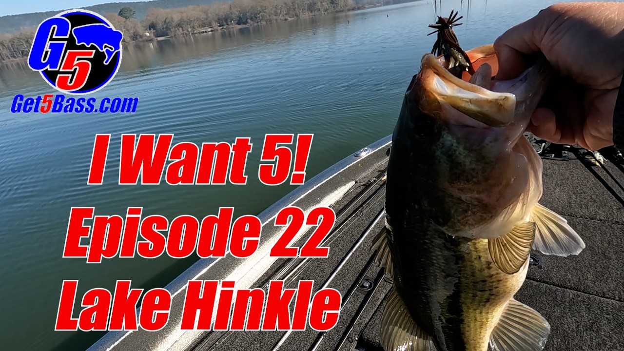 Lake Hinkle Bass Fishing – I Want 5! Episode 22 #arkansasbassfishing #bassfishing #jigfishing