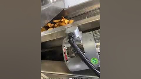 Continuous Fryer Machine Used in US Market | chips fries frying machine | dumplings frying machine