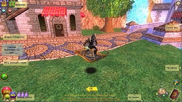 Wizard101 trying to reach lvl 50+