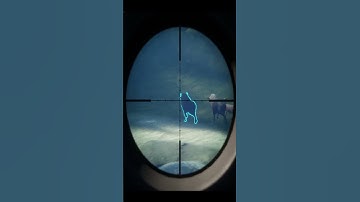 My 1st 💎 VS My 2000th+ 💎! Call of the wild #shorts