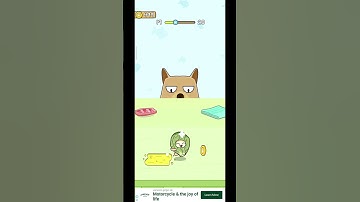 Cat Escape: Hide and Seek 19 & 20 level gameplay #viral #shorts #gaming #video