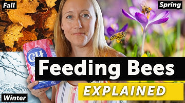 FEEDING BEES SIMPLIFIED - How to Feed Bees in the Spring, Fall & Winter