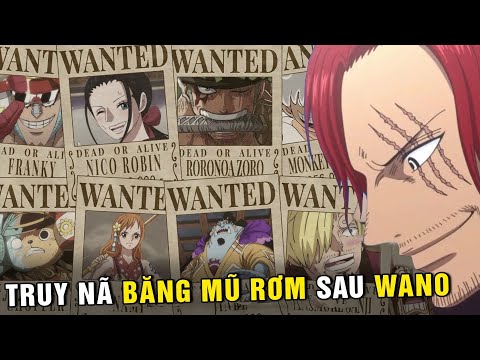 Video Tiền truy nã của băng Mũ Rơm sau khi sở hữu SỨC MẠNH... - youtube