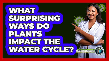 What Surprising Ways Do Plants Impact The Water Cycle? - Earth Science Answers