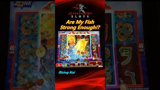Are My Fish Strong Enough To Make It to the Jackpot!? #shinobislots #shorts #shortfeed screenshot 3
