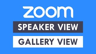 Speaker view vs gallery view in Zoom: Explained with 4 examples