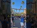 Hollywood Studios Christmas Wonderland