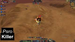 Silkroad Psro-Killer Job Fighting
