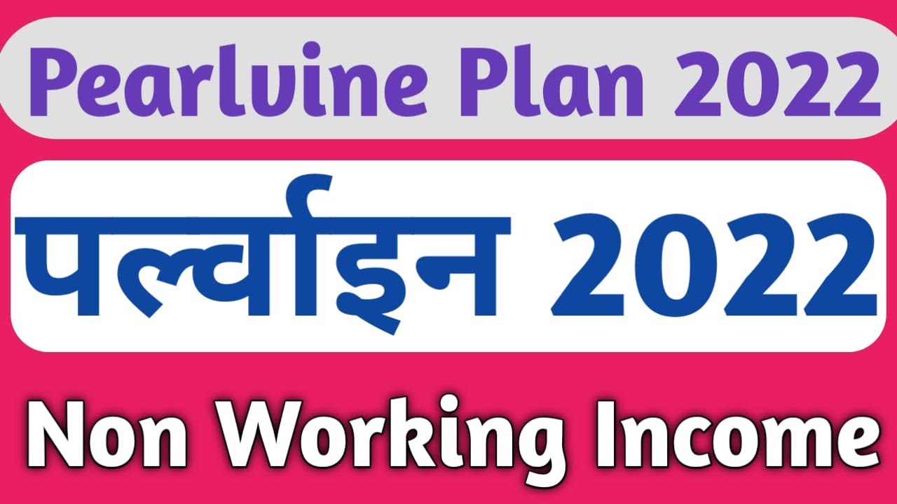 pearlvine business plan in hindi 2022