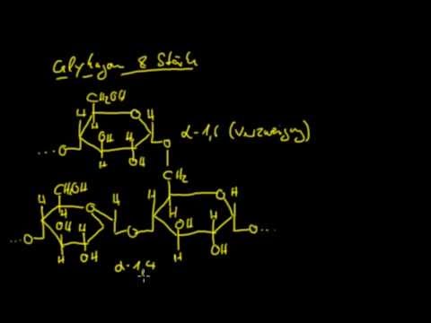 Organische Chemie - 12: Kohlenhydrate 4 - Polysaccharide