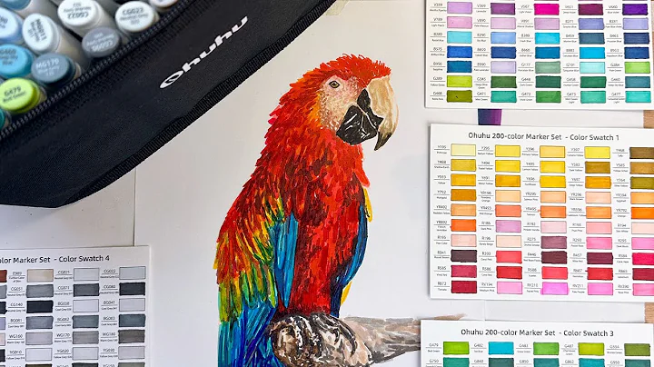 THE BEST BUDGET ALCOHOL MARKERS Testing Ohuhu Cheap Dual Tip Markers Draw a Parrot With Me #HanSelah