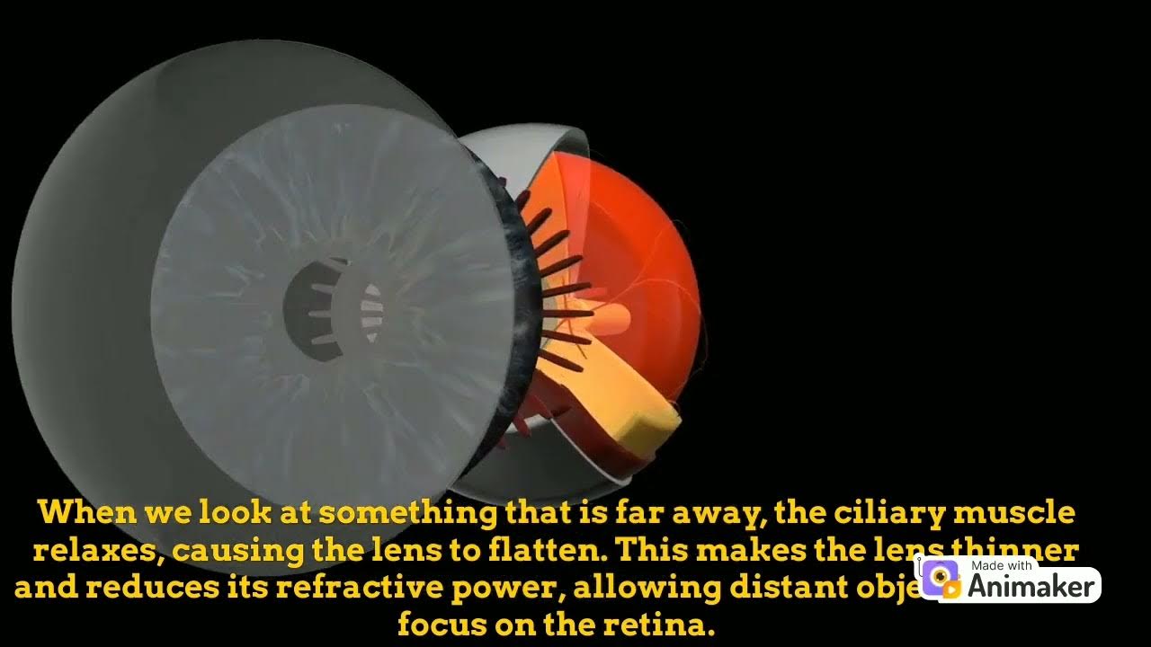 POWER OF ACCOMMODATION - YouTube