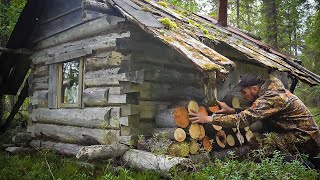 ROTTEN LOG CABIN SHELTERED FROM HEAVY RAIN. I LIVE ALONE IN THE FOREST