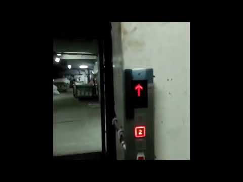 Elevator operator na aso 😂