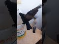 هوا فين
