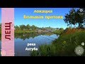 Русская рыбалка 4 - река Ахтуба - Лещ за скворечником