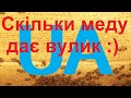 Скільки меду дає один вулик. "Пасіка діда Євгена."