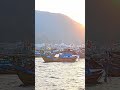 такие никому ненравятся( #мудрость #люди#vietnam #нячанг #цитаты