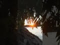 Instagram nature short
