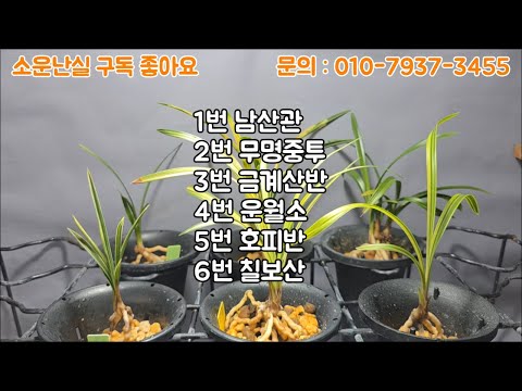 유튜브 썸네일