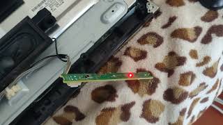 :   5 .  SONY.