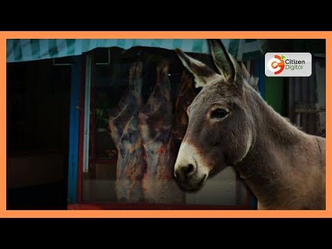 PUNDA NG OMBE Upekuzi Kuhusu Jinsi Punda Huchinjwa Na Kuuzwa Kama Nyama Ya Ng Ombe Jijini Nairobi