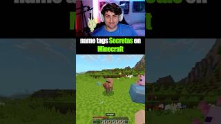 Estos name tags te VAN A SORPRENDER en minecraft #shorts #minecraft #memes