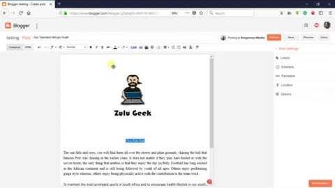 How to Make Your First Post on Blogger (with pictures & videos)