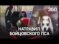 «Взять её!» — водитель натравил бойцовского пса на девушку-пешехода в Мытищах. Видео