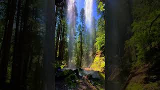 Kivach waterfall! The largest rivers in the Russian Republic of Karelia #shorts #ytshorts #waterfall