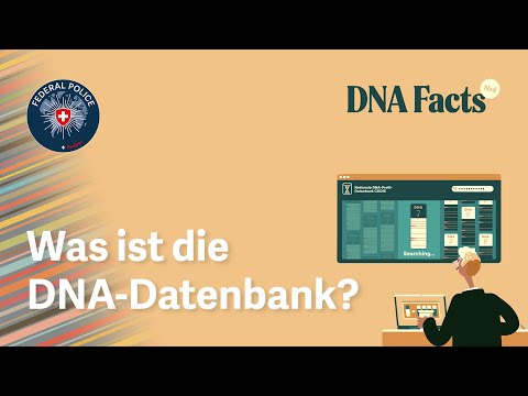 Video: Ist Blast eine Datenbank?