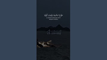 سعد الغامدي سورة الزمر Saad Al Ghamidi Surah Al Zumar