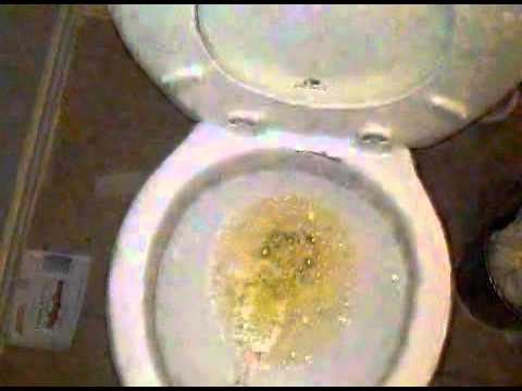 SEE THE PEE: Longest piss of all time (with commen...
