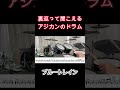 裏返って聞こえるアジカンのドラム ブルートレイン #shorts  #drum #ドラム #ドラム叩いてみた