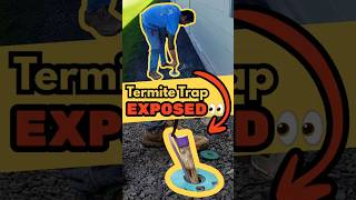 Termite Trap EXPOSED 😳 | How Termite Bait Stations Work