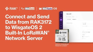 Learn How To Connect a WisDuo RAK3172 to the WisGate Edge gateway’s built-in LoRaWAN Network Server!