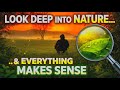 Look Deeper… Life Will Make Sense | Deep Quote |