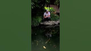 CHÚC EM NHIỀU HẠNH PHÚC - VŨ TUẤN KHANG / COVER HỮU TÀI .