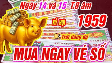 Đúng ngày 14 và 15 tháng 8 âm Tuổi KỶ HỢI 1959 QUÝ NHÂN NÂNG ĐỠ GẶP MAY HIẾM CÓ TRÚNG SỐ CỰC GIÀU