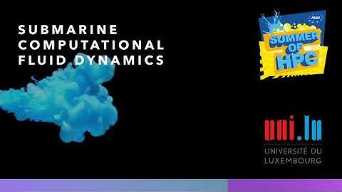 2021 Matthew Asker and Shiva Dinesh, Submarine Computational Fluid Dynamics