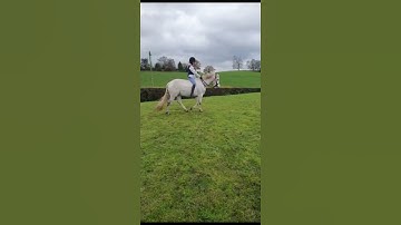 new intro!!                                           #showjumping #horse #newintro #intro